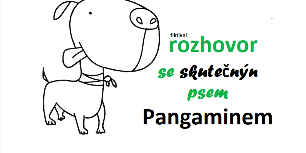 „Interview“ s hafanem, který se jmenuje Pangamin